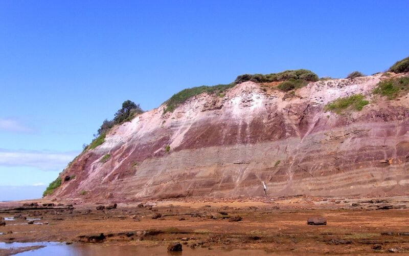 Long Reef Headland, Collaroy