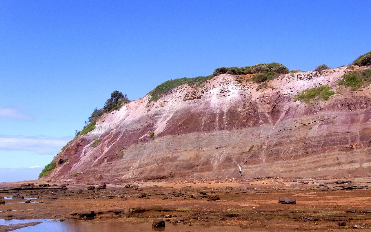 Long Reef Headland, Collaroy