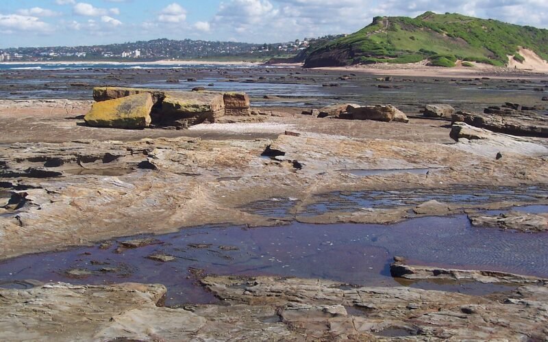 Long Reef Headland, Collaroy
