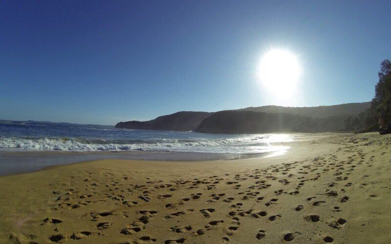 The forest walking trail down to Maitland Bay, Bouddi National Park