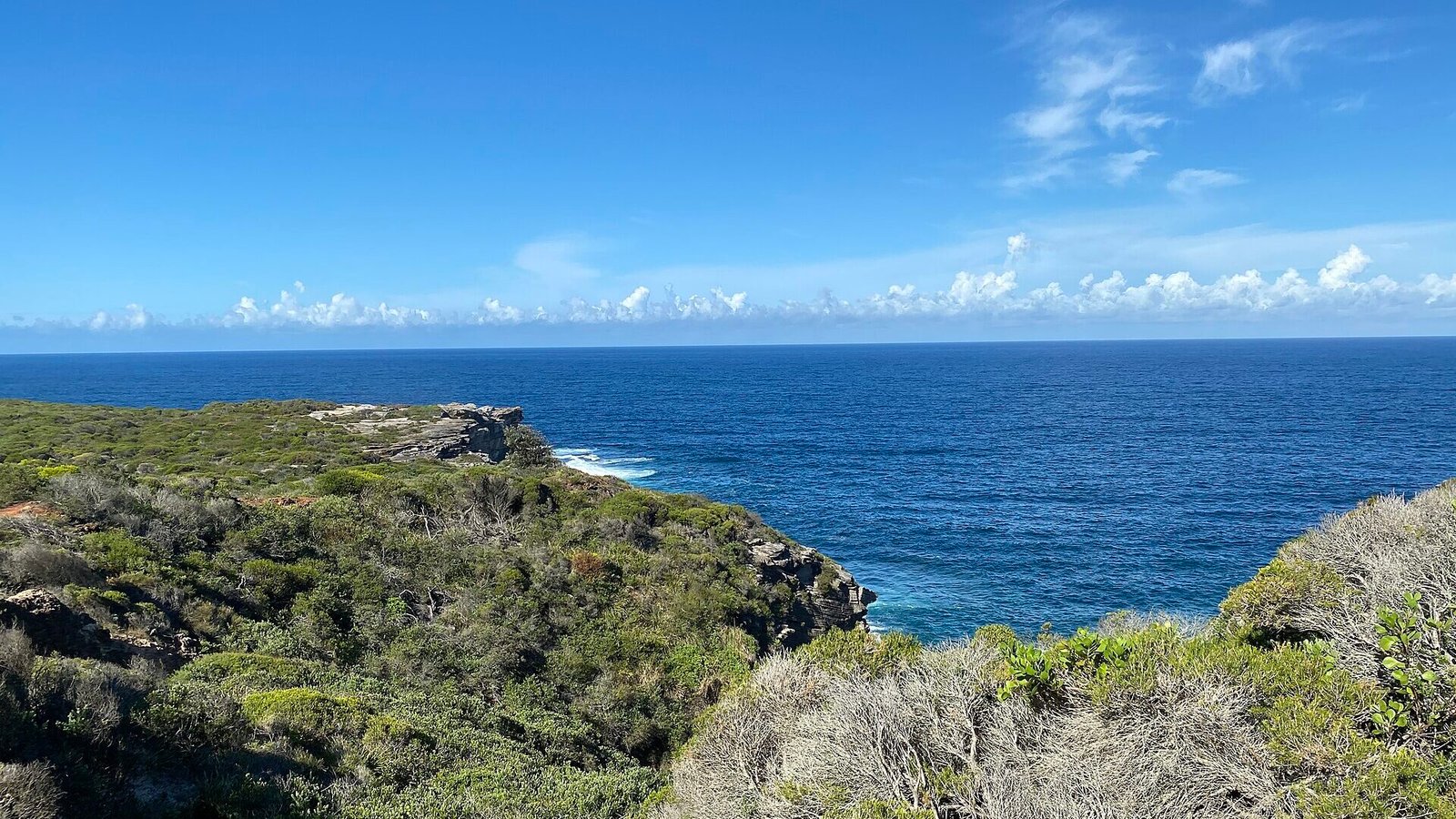 Coastal heath and ocean cliffs at Malabar Headland National Park
