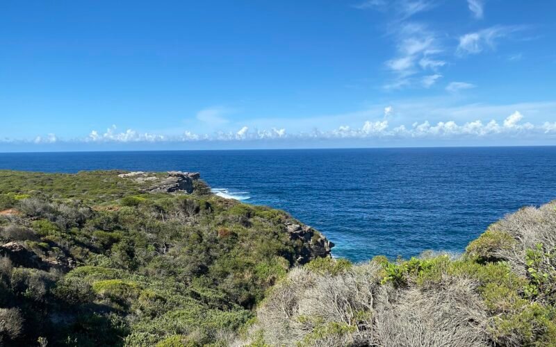 Coastal heath and ocean cliffs at Malabar Headland National Park