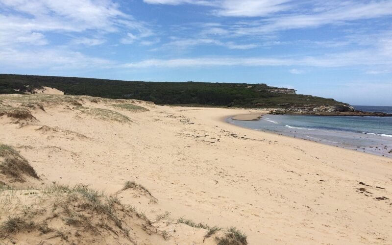 Marley Beach on the Coast Track