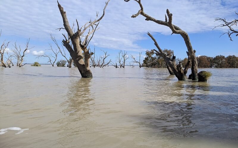Menindee Lakes, Outback NSW