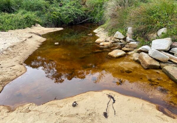 Milk Beach, Vaucluse