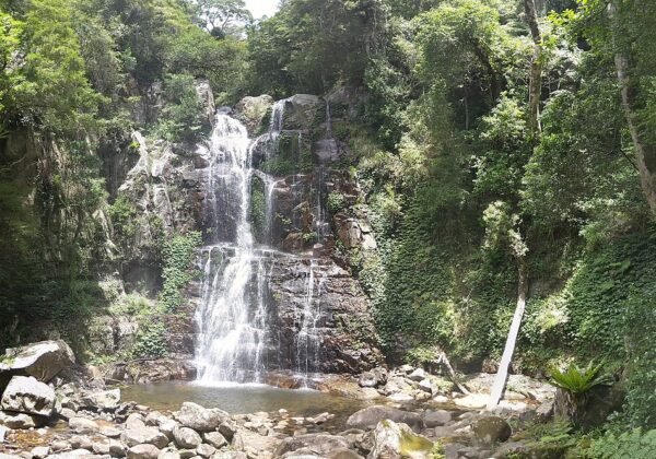 minnamurra falls