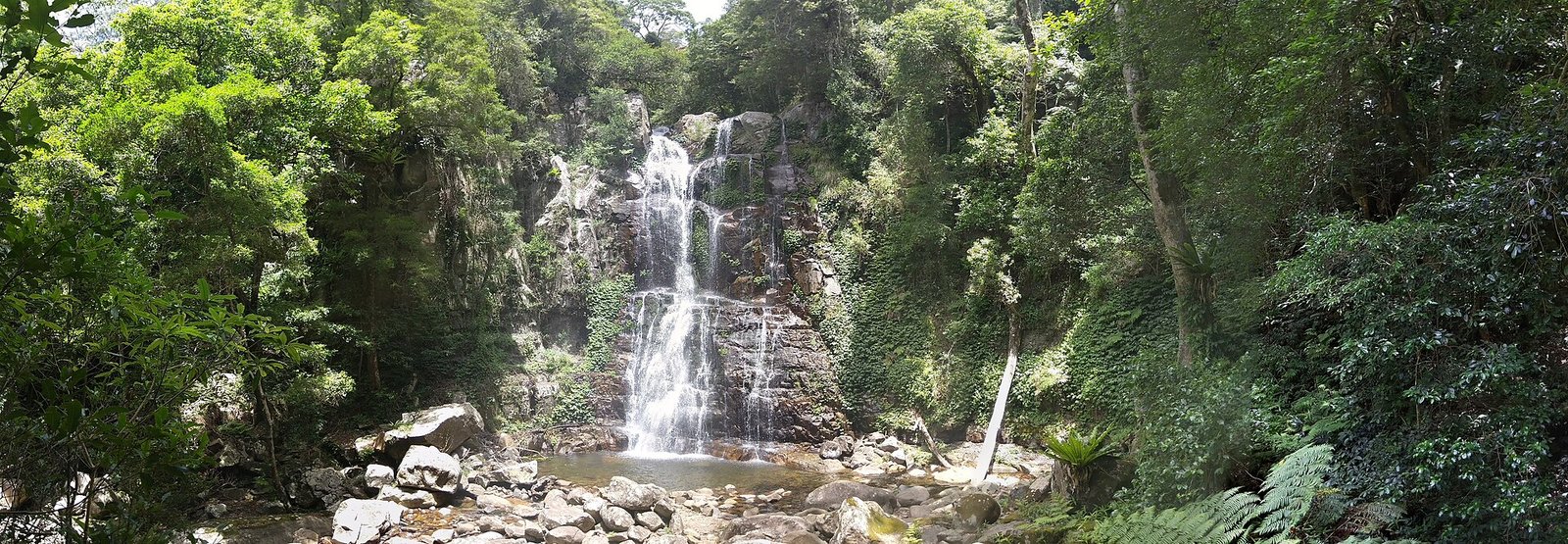 minnamurra falls