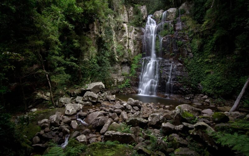 minnamurra falls