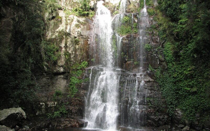 minnamurra falls