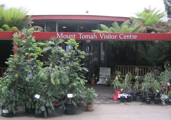 Blue Mountains Botanic Garden, Mount Tomah