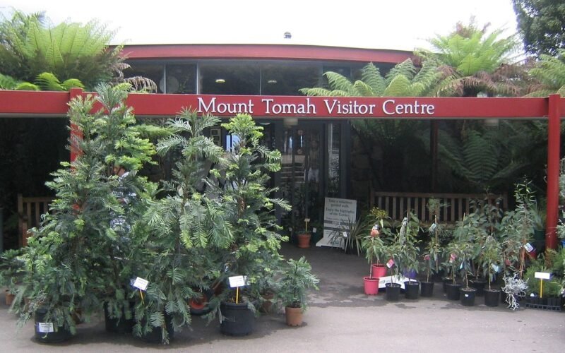 Blue Mountains Botanic Garden, Mount Tomah