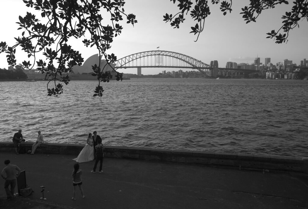 Mrs Macquaries Chair, Sydney