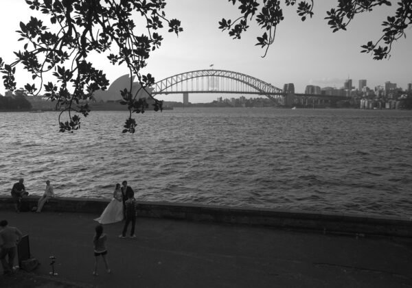 Harbour view from Mrs Macquarie's Chair