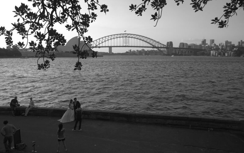 Harbour view from Mrs Macquarie's Chair