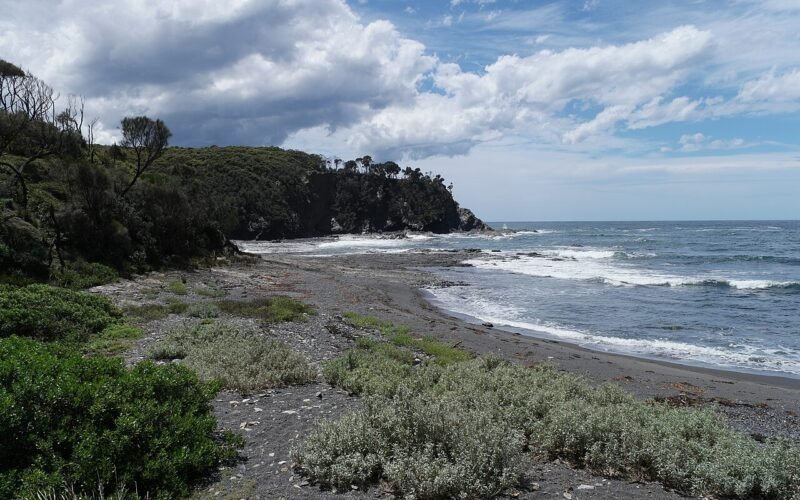 Murramarang National Park coastline