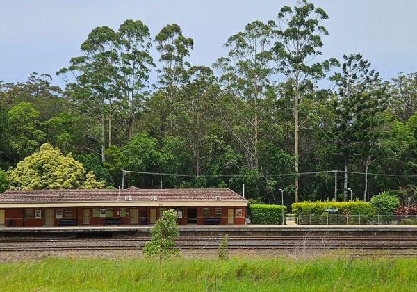 Nambucca Heads V-Wall