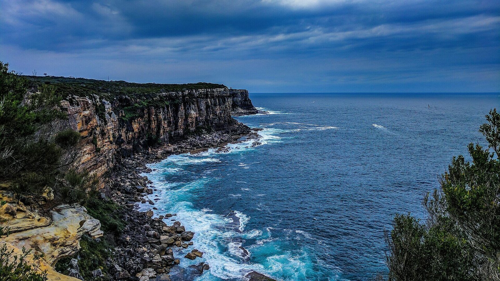 Cliffs at North Head sanctuary, Manly, overlooking the Tasman Sea