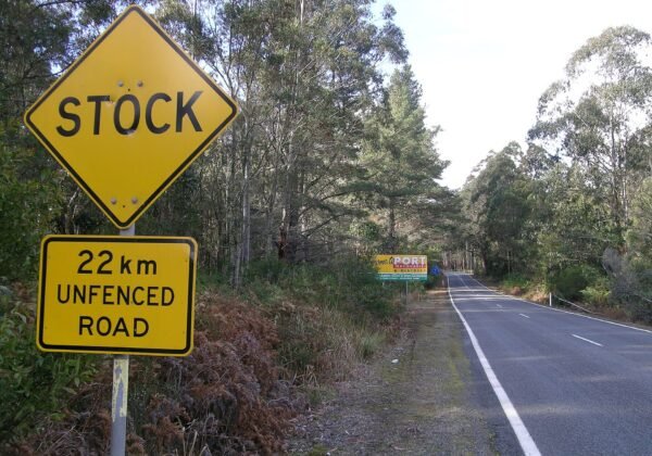 The winding Oxley Highway between Walcha and the coast, NSW