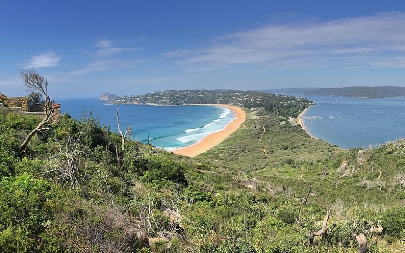 Palm Beach viewed from Barrenjoey headland.jpg