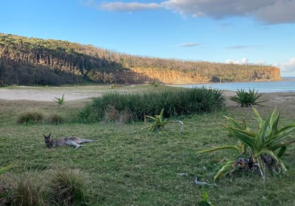 Pebbly Beach, Murramarang National Park