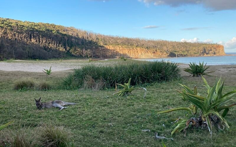 Pebbly Beach, Murramarang National Park