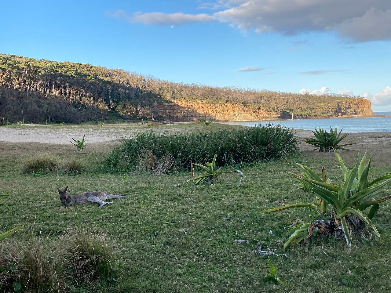 Pebbly Beach, Murramarang National Park