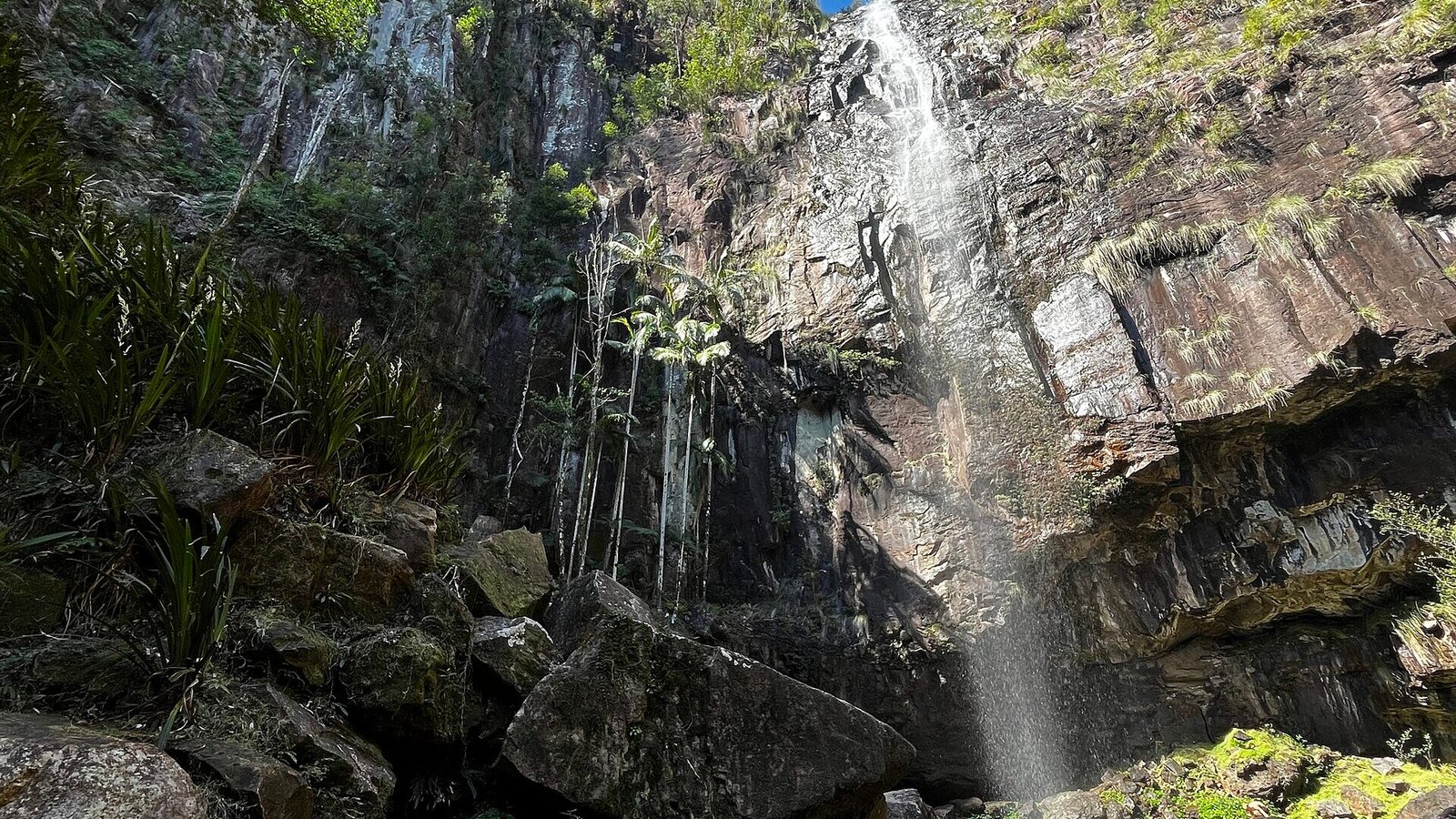 protesters-falls-4 - AustralianSecret protesters falls