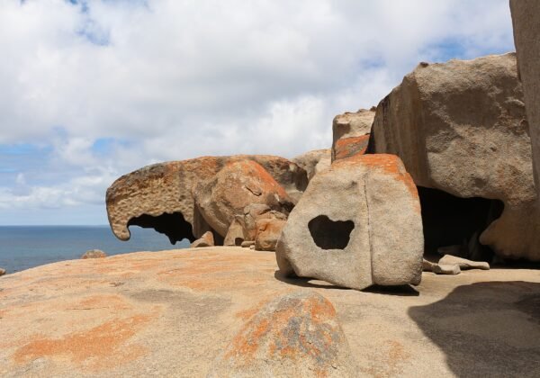 The wind-sculpted granite boulders of Remarkable Rocks above the Southern Ocean, Kangaroo Island SA