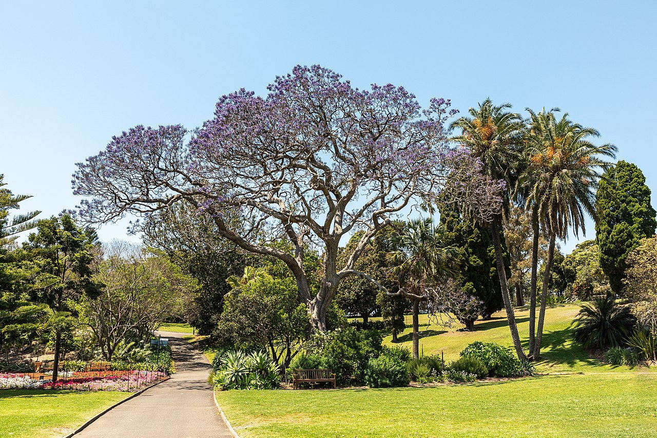 Royal Botanic Garden Sydney