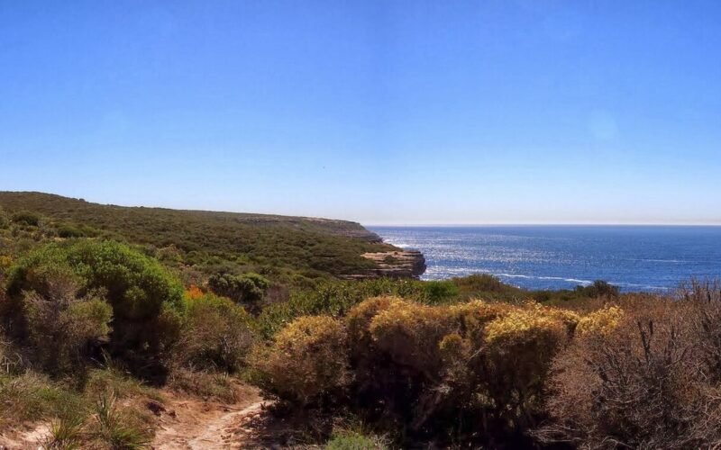Royal National Park Coast Track - panoramio (2).jpg