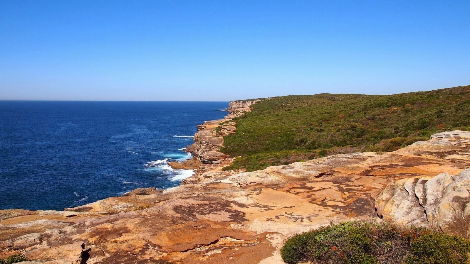 Royal National Park Coast Track - panoramio.jpg