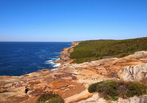 Royal National Park Coast Track - panoramio.jpg