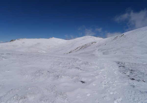 Alpine high country along the Snowy Mountains Highway corridor, Kosciuszko NSW