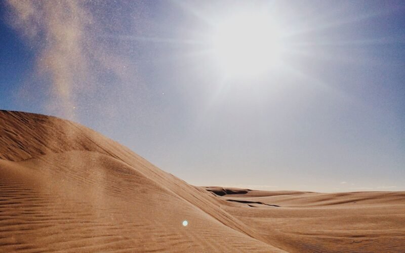 Stockton sand dunes, Worimi Conservation Lands