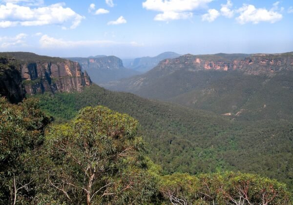 blackheath blue mountains