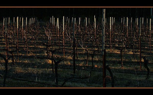 hunter valley pokolbin