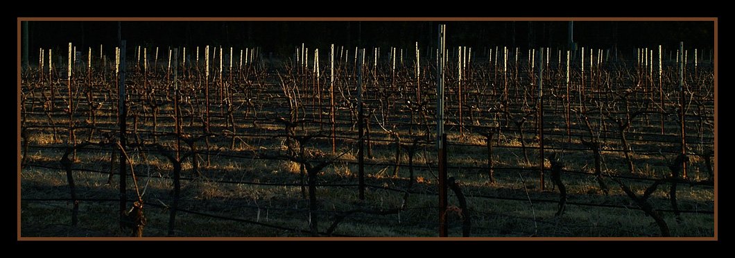 hunter valley pokolbin