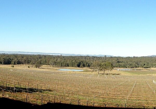 hunter valley pokolbin