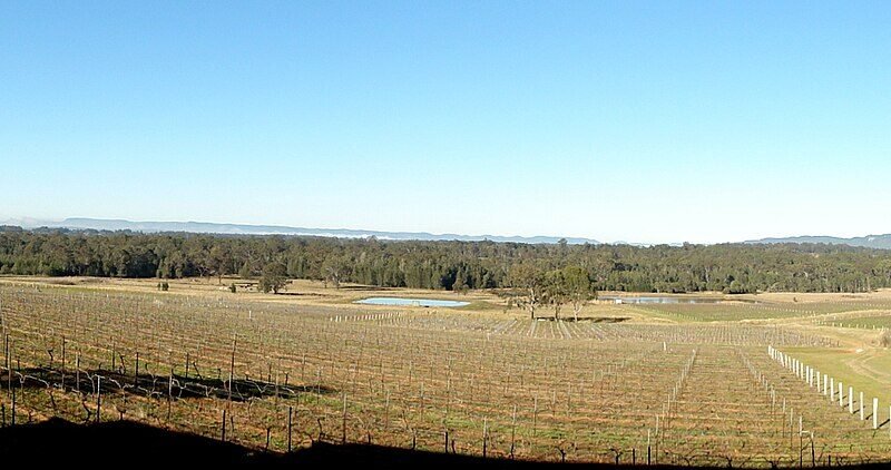 hunter valley pokolbin