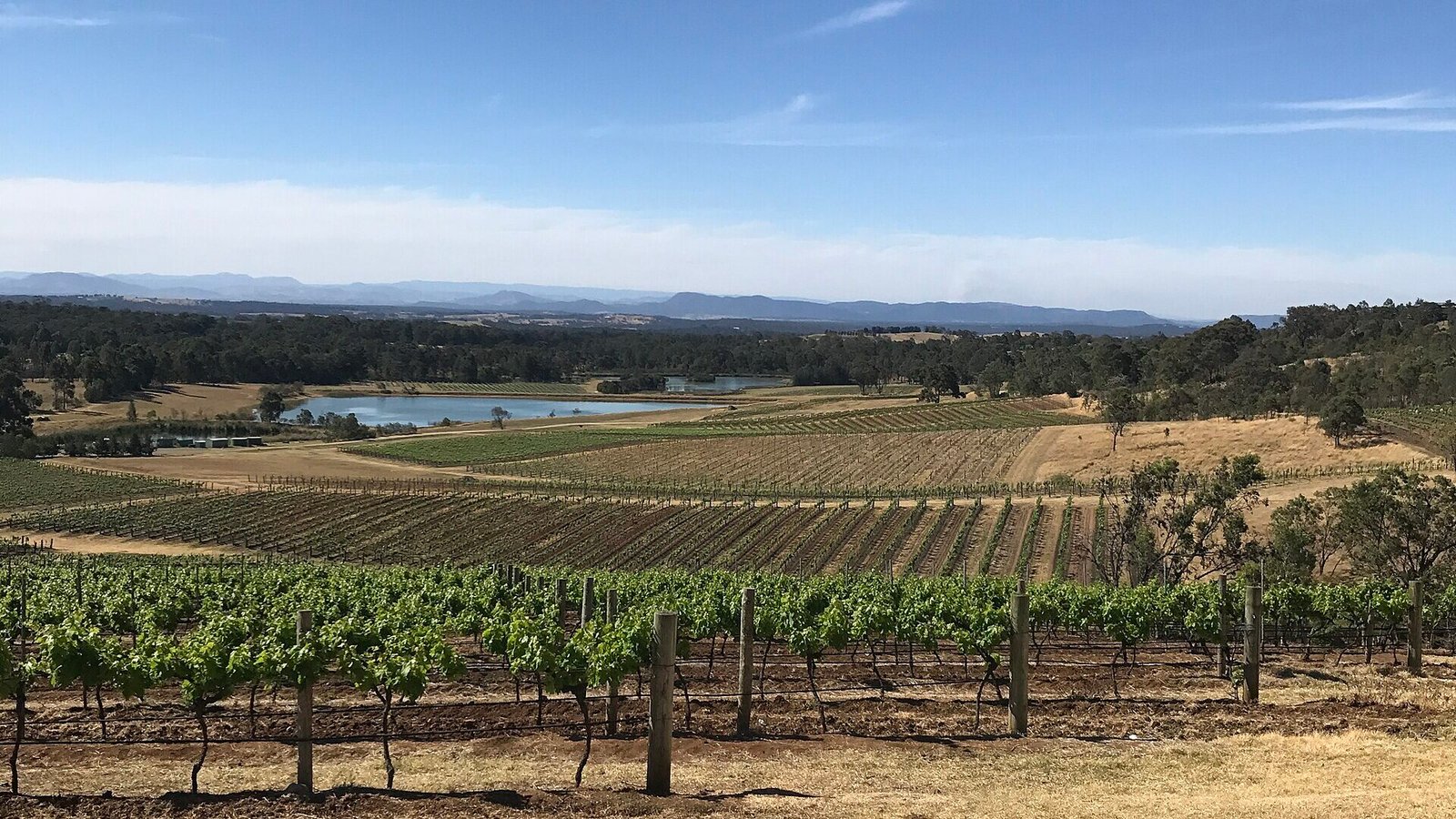 hunter valley pokolbin