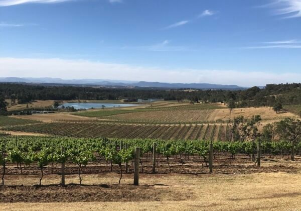 hunter valley pokolbin