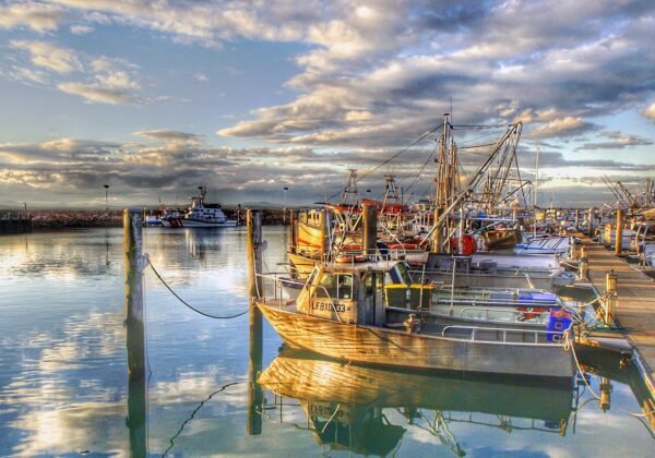 port stephens