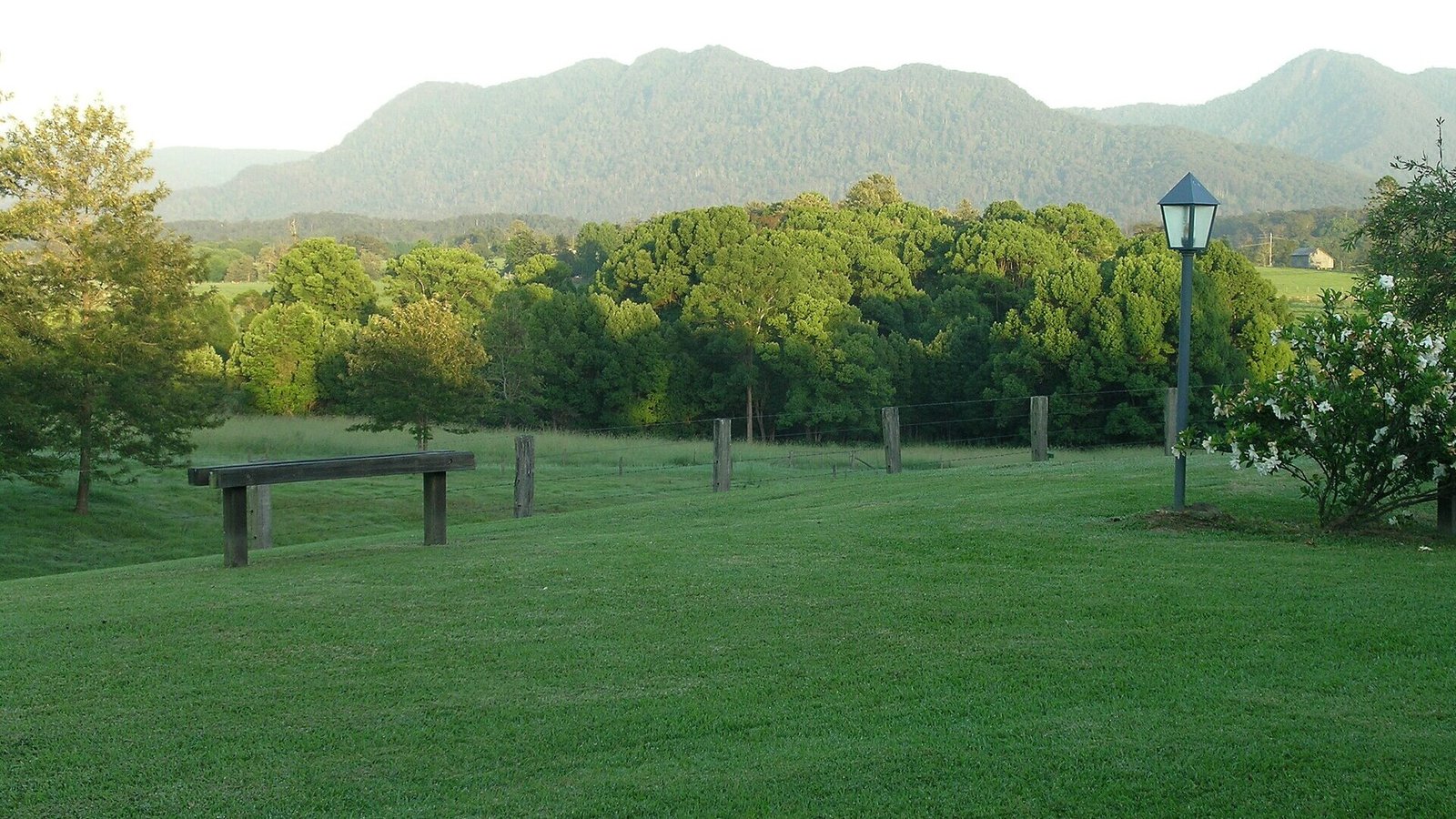 bellingen nsw