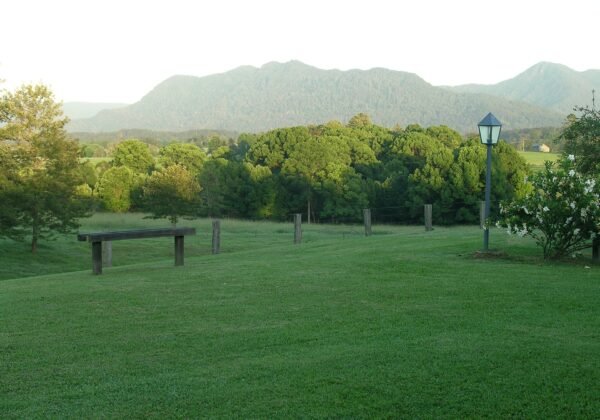 bellingen nsw