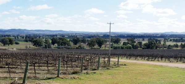 mudgee