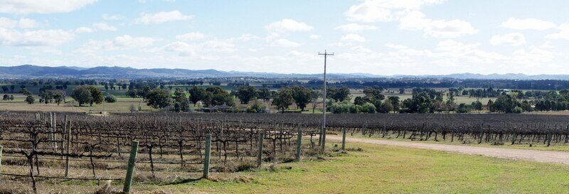 mudgee
