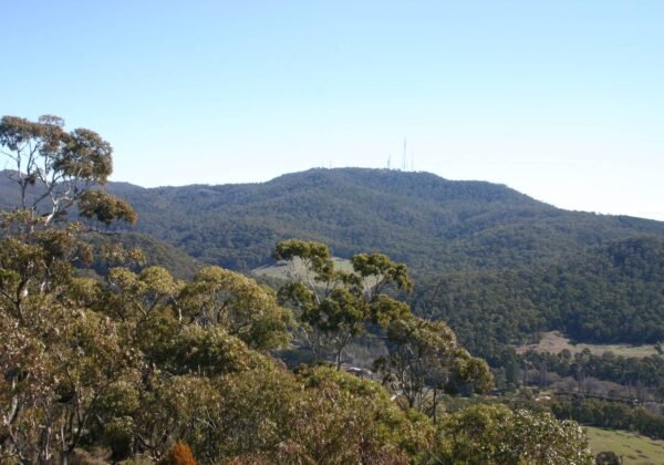 orange nsw