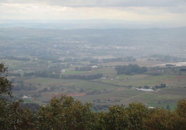 orange nsw