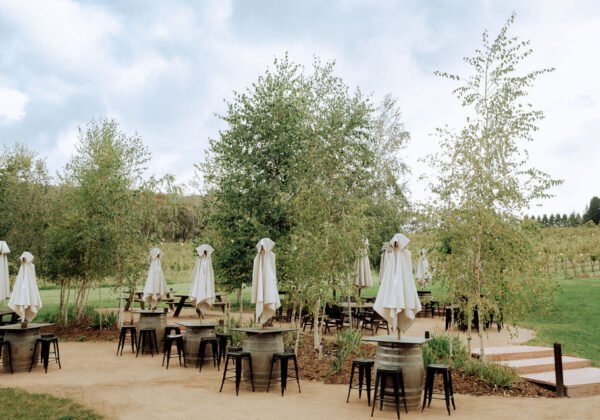 Artemis Wines winery