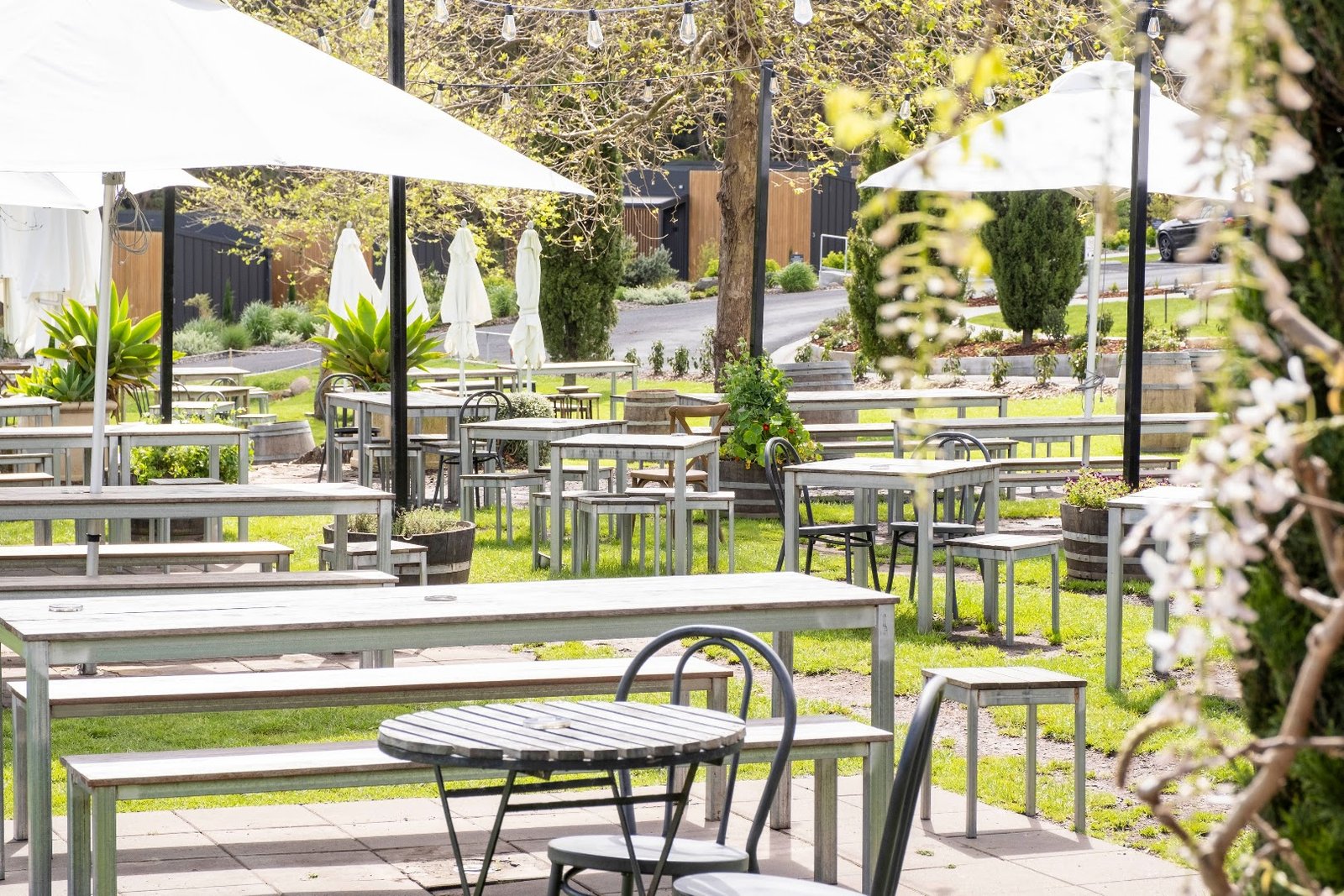 Cupitt's Estate winery